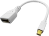Picture of Roline DisplayPort Adapter, DP F - Mini DP M