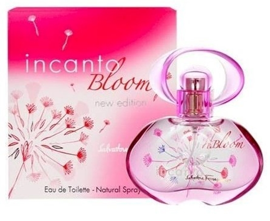 Изображение Salvatore Ferragamo Incanto Bloom (2014) Perfume EDT 100 ml
