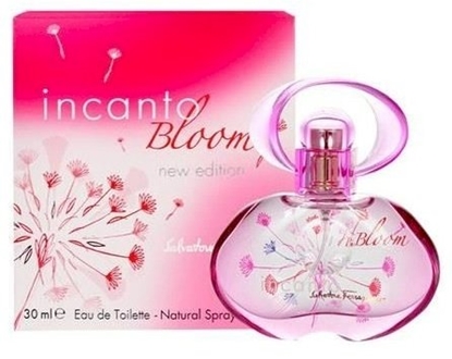 Picture of Salvatore Ferragamo Incanto Bloom (2014) Perfume EDT 30 ml