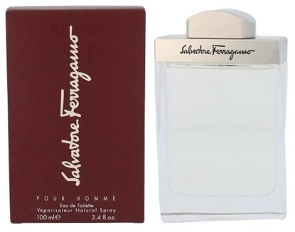 Picture of Salvatore Ferragamo Pour Homme Perfume EDT 100 ml