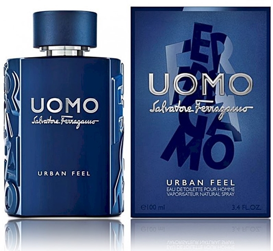 Изображение Salvatore Ferragamo Uomo Urban Feel Perfume EDT 100 ml