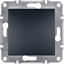 Изображение Schneider Electric cznik krzyowy Asfora zaciski rubowe bez ramki antracyt (EPH0500171)