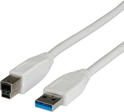 Picture of Secomp USB 3.2 Gen 1 Cable, Type A M - B M, 3.0 m, beige, 0.8 m