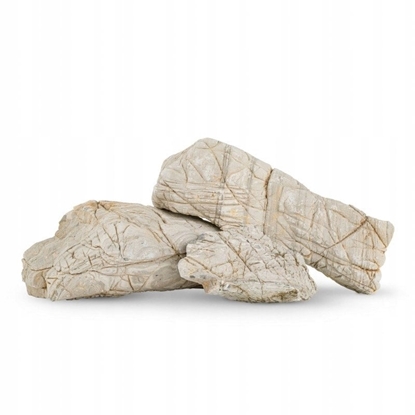 Picture of Skaa skóra soniowa / do akwarium / terrarium 10-30 cm