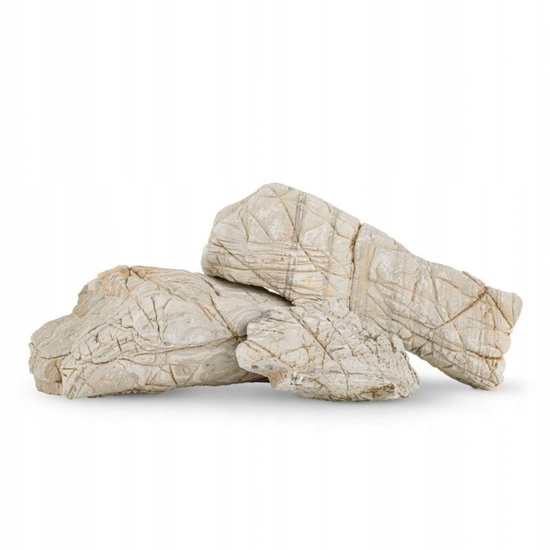 Picture of Skaa skóra soniowa / do akwarium / terrarium 10-30 cm