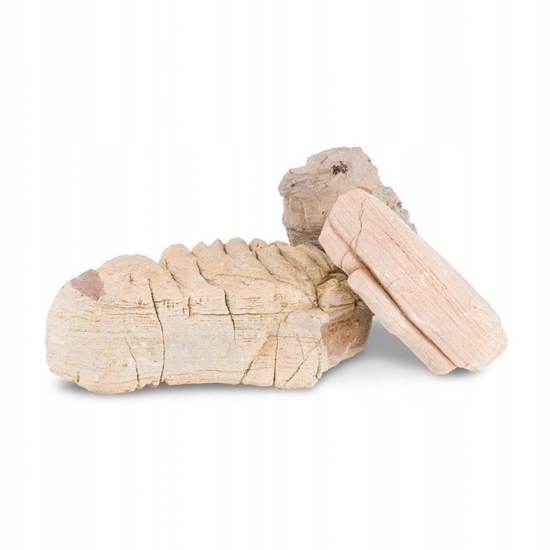 Picture of Skaa warstwowa, dekoracyjna do akwarium / terrarium 10-40 cm