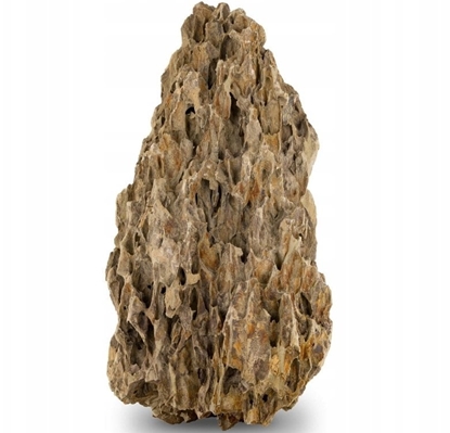 Picture of Skaka Smocza skaa, M 20-30CM