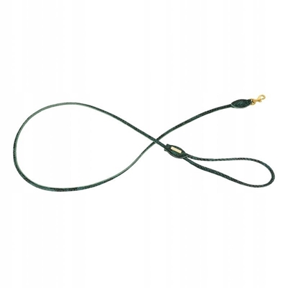 Picture of Smycz dla psa okrga, Serpente, zielona, skórzana mosidz, 8mm/120cm