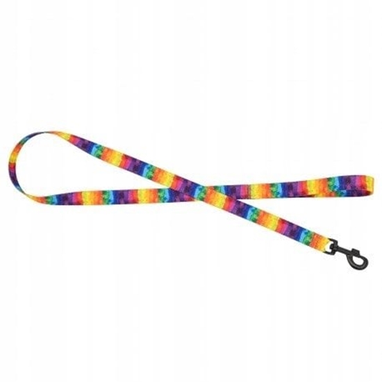 Picture of Smycz dla psa tama Tcza, 16mm/120cm