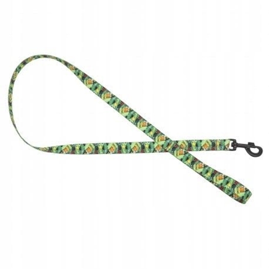 Picture of Smycz dla psa tama Tropical, 25mm/120cm