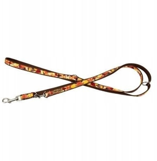 Picture of Smycz dla psa, wzór jesie, regulowana, tama, 10MM/220CM brzowa