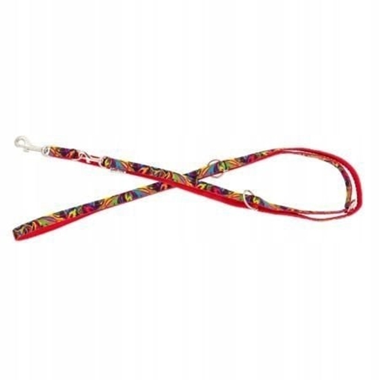 Picture of Smycz dla psa, wzór picasso, regulowana, tama polipropylenowa, 25mm/220cm czerwona