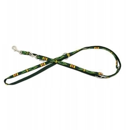 Picture of Smycz regulowana dla psa, zielona, wzór etniczny, tama polipropylenowa, 16mm/220cm