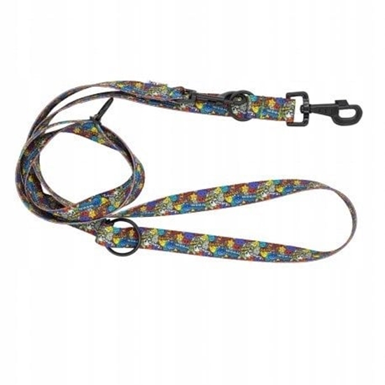 Picture of Smycz regulowana tama dla psa Dream Party, 20mm/220cm