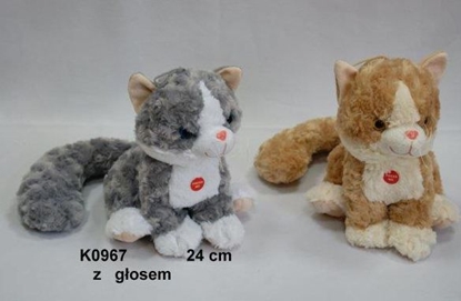 Изображение Sun-Day Kot siedzcy 2 kolory, 25cm gos - K0967-24