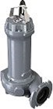 Picture of Sūknis DRG 300-2-65H Dn65 2,2kW (1431.003) 380V 