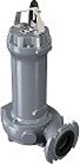 Picture of Sūknis DRG 300-2-65H Dn65 2,2kW (1431.003) 380V 