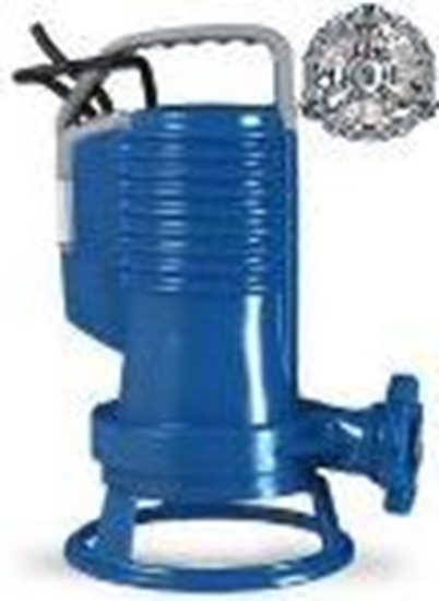 Picture of Sūknis GR BLUE P 100-2-G40H(1117.001)0,75kW 380V