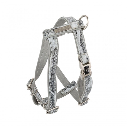 Picture of Szelki dla psa, Wild Snake, szare, skórzane nikiel, XS 13mm/ob. szyi 20-30cm ob. klatki 25-45cm