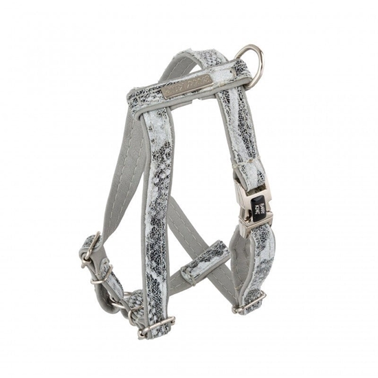 Picture of Szelki dla psa, Wild Snake, szare, skórzane nikiel, XS 13mm/ob. szyi 20-30cm ob. klatki 25-45cm