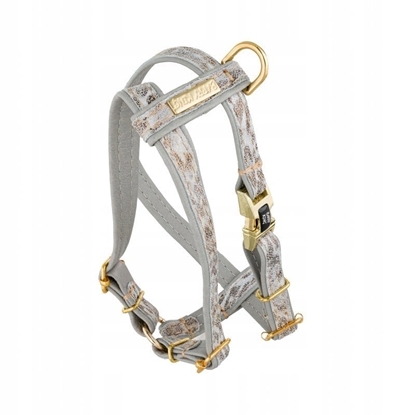 Attēls no Szelki dla psa, Wild Snow Leopard, szare, skórzane mosidz, M 16mm/ob. szyi 30-50cm ob. klatki 40-70cm