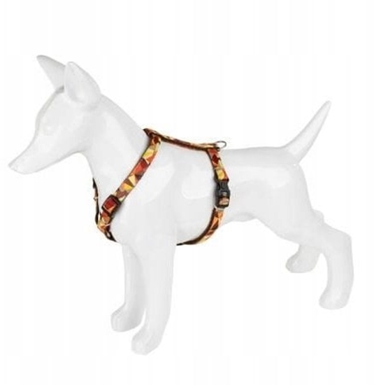 Picture of Szelki dla psa, wzór jesie, tama, 10MM/25-40CM brzowa