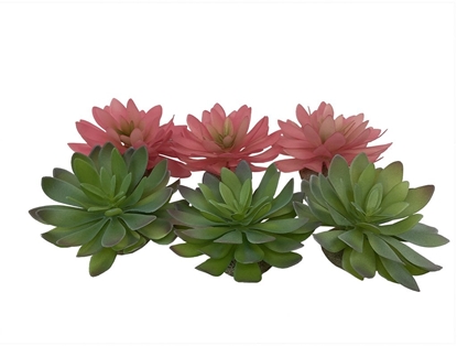 Picture of Terra Natura Sukulent Echeveria 2, ozdoba do terrarium, mieszanka kolorów, 14x12,5x9,2 cm