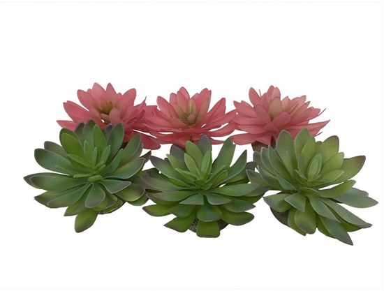 Picture of Terra Natura Sukulent Echeveria 2, ozdoba do terrarium, mieszanka kolorów, 14x12,5x9,2 cm