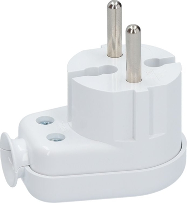 Picture of Timex Wtyczka ktowa b/u 16A 2P, 250V, biaa (WT-6)