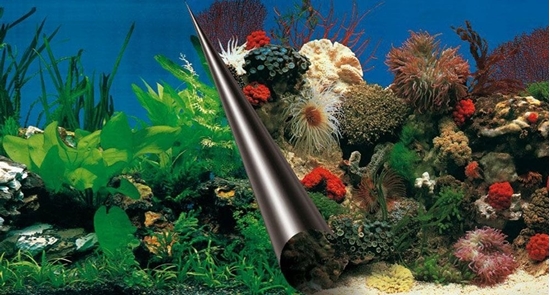 Picture of To do akwarium, skay/rafa koralowa, 120x50 cm