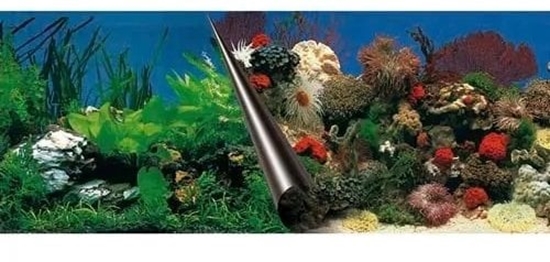 Picture of To do akwarium, skay/rafa koralowa, 80x40 cm