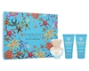 Изображение Versace Pour Femme Dylan Turquoise Perfume Set