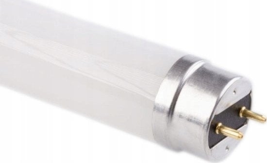 Picture of wietlówka Ecolight wietlówka LED 18W 120cm T8 G13 1800lm 4000K neutralna Glass Eco* EC79538 Eco Light*