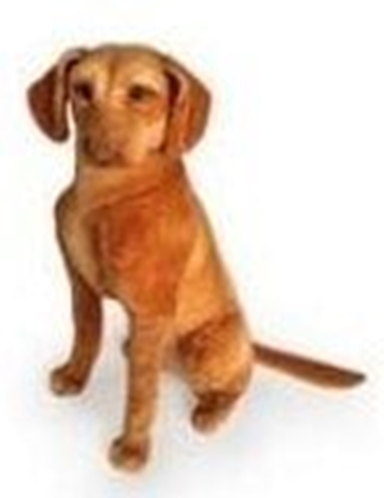 Picture of Wye siedzcy 44cm