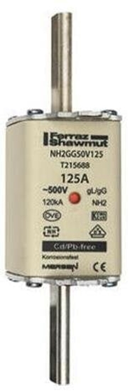 Picture of Wkadka bezpiecznikowa NH 2C 125A 500VAC gG T215688