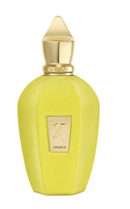 Picture of Xerjoff Amabile Perfume EDP 100ml Tester