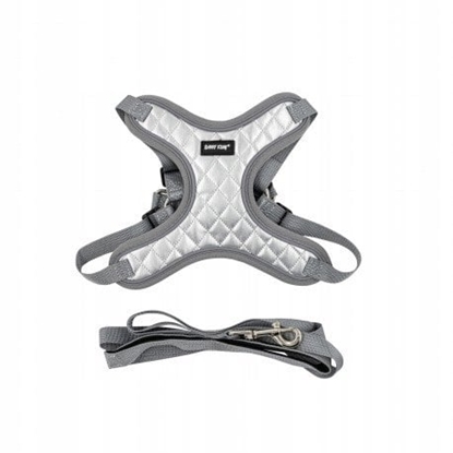 Picture of Zestaw, szelki+smycz, dla psa, srebrne, , d. smyczy 1,45m, rozmiar XS