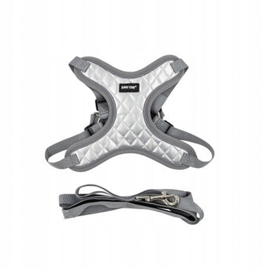Picture of Zestaw, szelki+smycz, dla psa, srebrne, , d. smyczy 1,45m, rozmiar XS