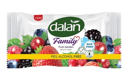 Picture of Ziepes DALAN FAMILY Fruit Garden, 100g