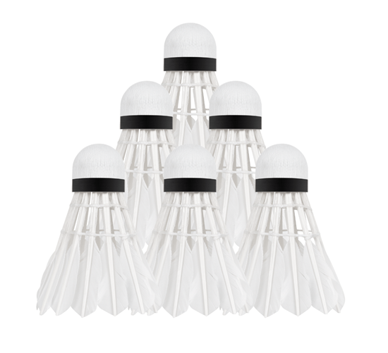 Picture of Zosu spalvu badmintona volāni, 6 gab., REBEL ACTIVE