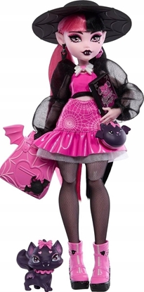 Attēls no Mattel Lalka Monster High Draculaura (HPD53)