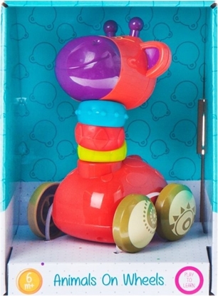 Picture of BamBam BAM BAM YRAFKA NA KÓKACH 466626/5908275161257