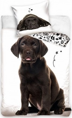 Изображение Carbotex Pociel Piesek Labrador 160x200 Carbotex