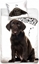 Picture of Carbotex Pociel Piesek Labrador 160x200 Carbotex