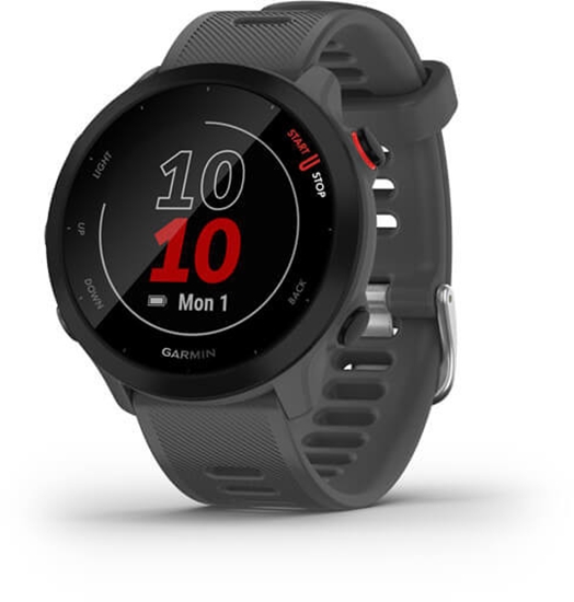 Picture of Garmin Forerunner 55 grey