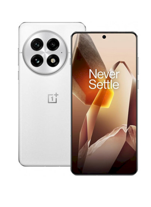 Picture of OnePlus 13 5G Smartphone 16GB / 512GB Arctic Dawn