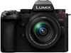Изображение Panasonic LUMIX G9 Mark II + H-FS 12-60 E