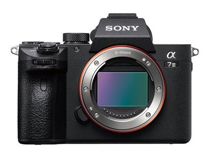 Attēls no Sony Alpha 7 Mark III Body