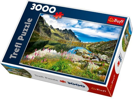 Picture of Trefl 3000 EL Staroleniaski Staw Tatry 33031