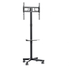 Изображение TV stiprinājums Gembird 32" - 55" TV floor stand with caster wheels